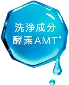 洗浄成分 酵素AMT*