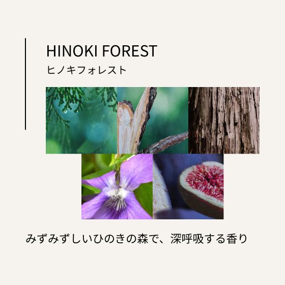 ヒノキ フォレスト みずみずしいひのきの森で、深呼吸する香り