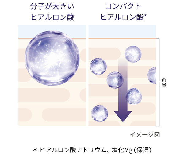 分子が大きいヒアルロン酸 コンパクトヒアルロン酸* *ヒアルロン酸ナトリウム、塩化Mg(保湿)
