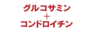 グルコサミン+コンドロイチン